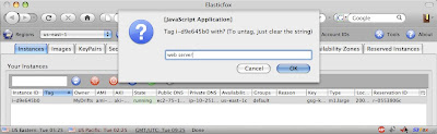 Add the tag in the ElasticFox dialog that pops up.